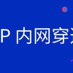 frp0.62.1 tcp6监听port 7000 (tcp) failed: No route to host解决